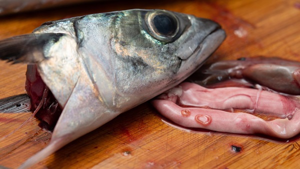 Pescado riesgo anisakis